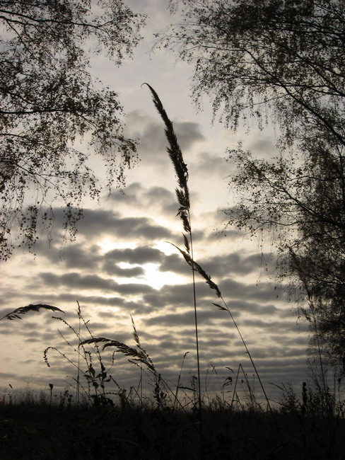 photo "***" tags: landscape, clouds, summer