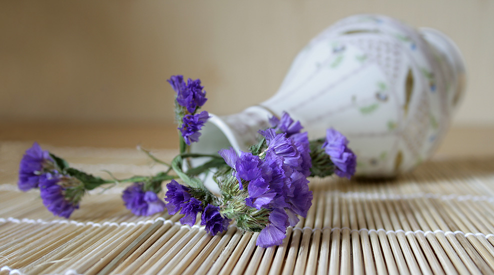 photo "***" tags: nature, still life, flowers