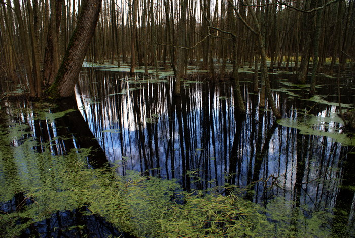 фото "***" метки: пейзаж, 