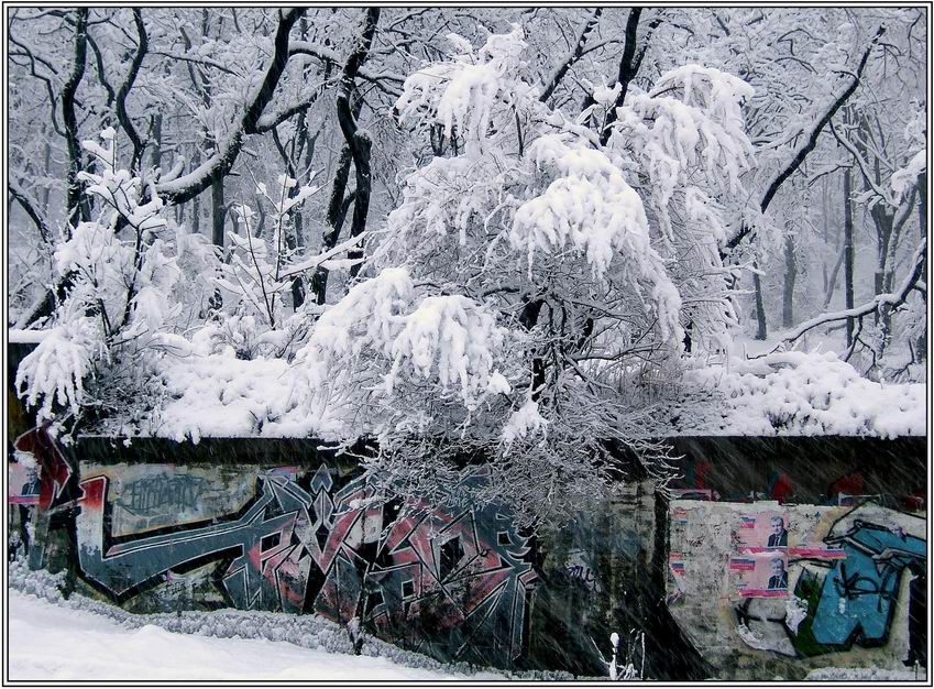 фото "Мартовский снег" метки: пейзаж, зима