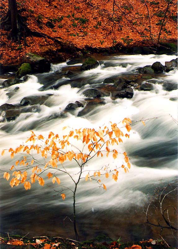 photo "***" tags: landscape, water
