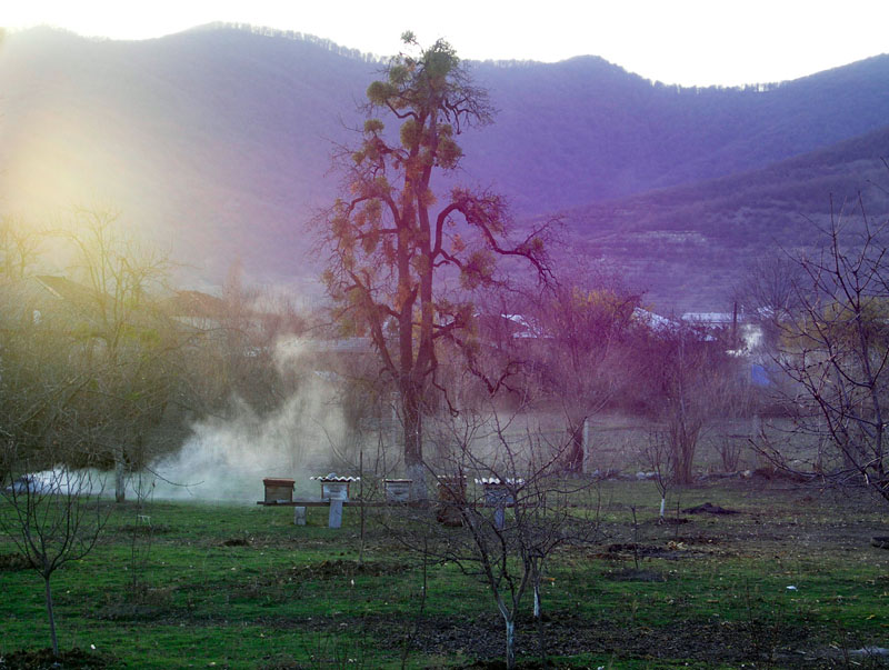 photo "***" tags: landscape, spring