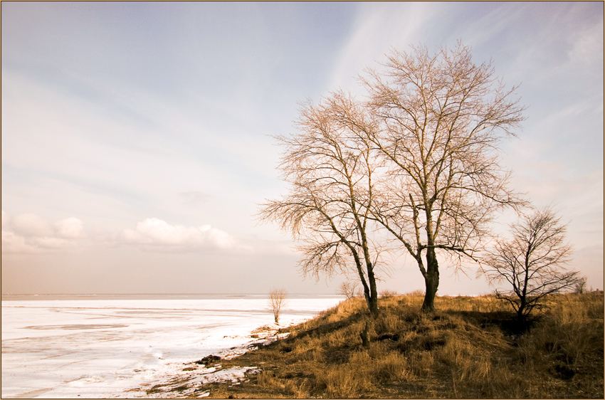 photo "Approach of  Spring" tags: landscape, spring