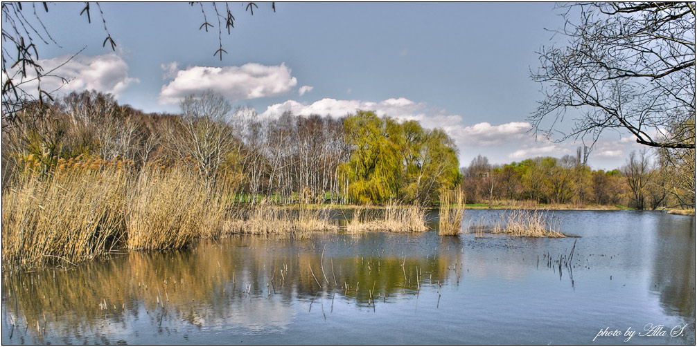 фото "Весна на озере" метки: пейзаж, весна, вода