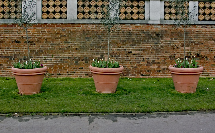 photo "Three Flower Pots" tags: nature, flowers