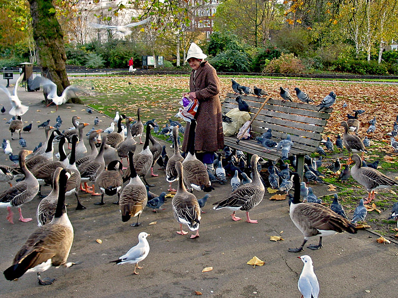 photo "Old lady and the birds" tags: travel, Europe