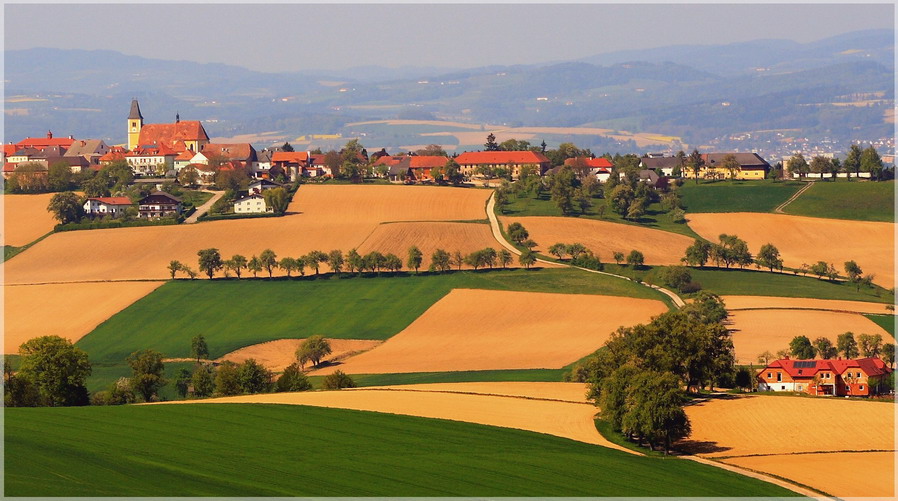 photo "Life in pleasure" tags: landscape, mountains, summer