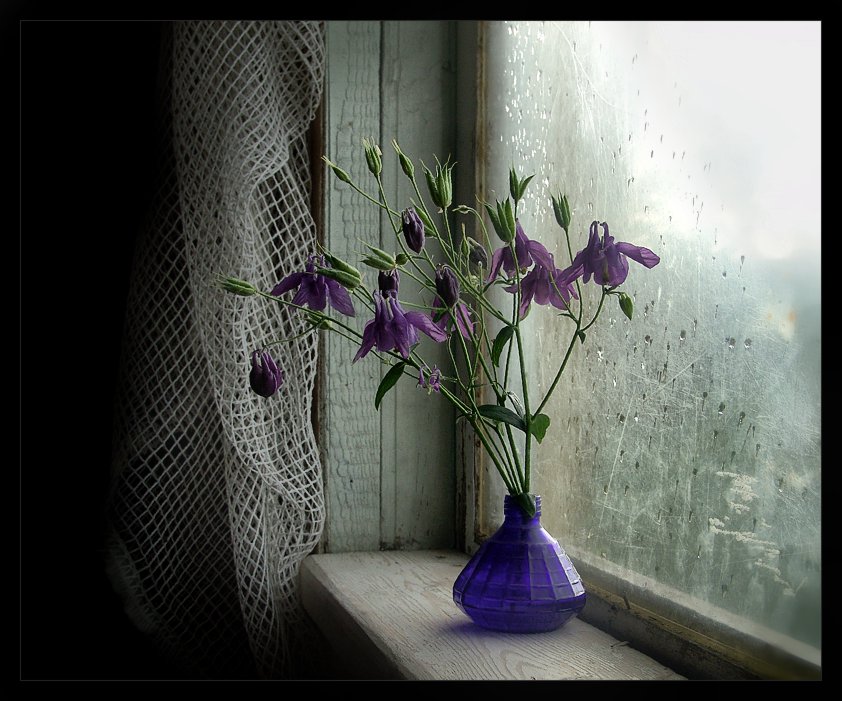 photo "***" tags: still life, 