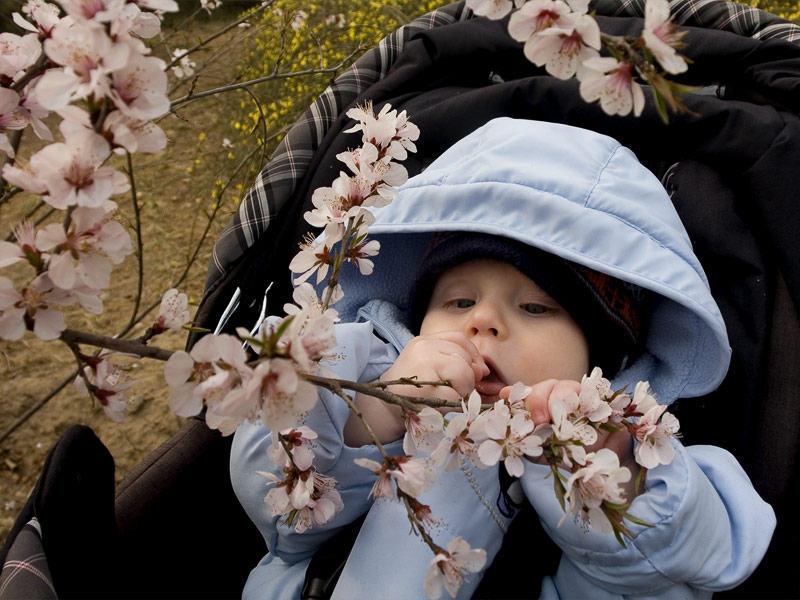 photo "The tree in blossom - is it tasty&#65311;" tags: portrait, genre, children
