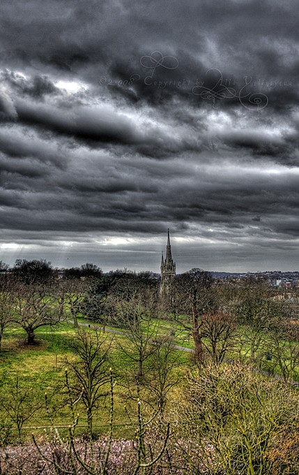 photo "Black Sky" tags: landscape, nature, clouds, flowers