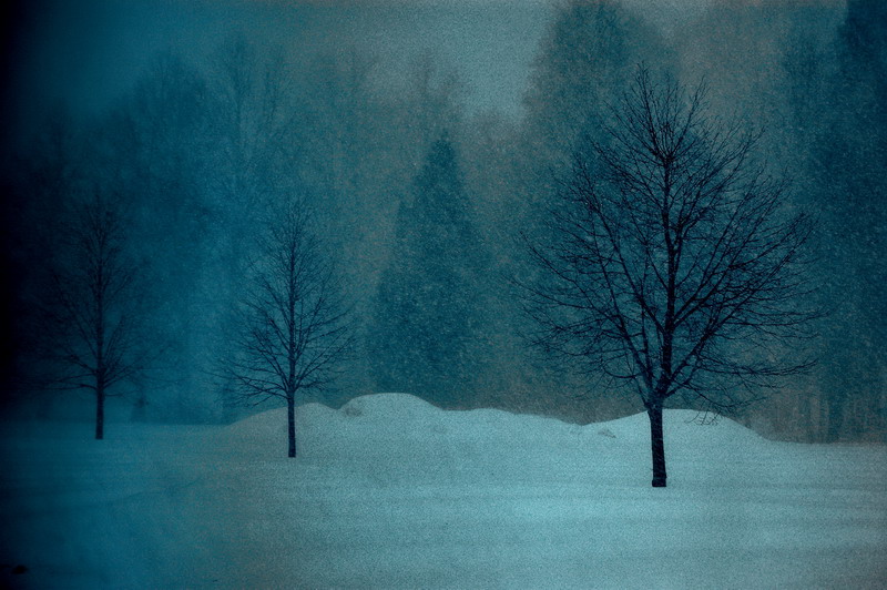 фото "Lapin Snow" метки: пейзаж, путешествия, Европа, зима