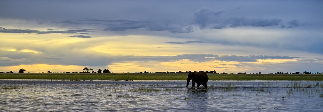 photo "a friend is leaving" tags: nature, landscape, sunset, wild animals