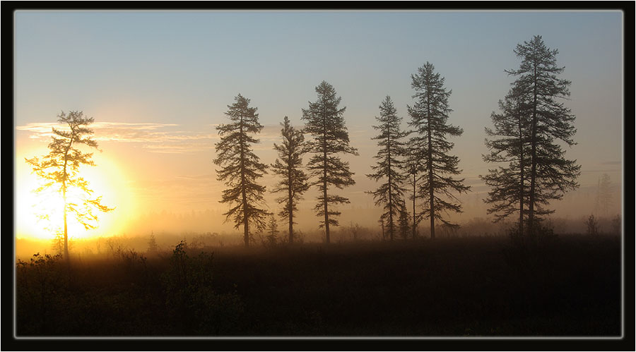 фото "Рассвет" метки: пейзаж, закат, лес