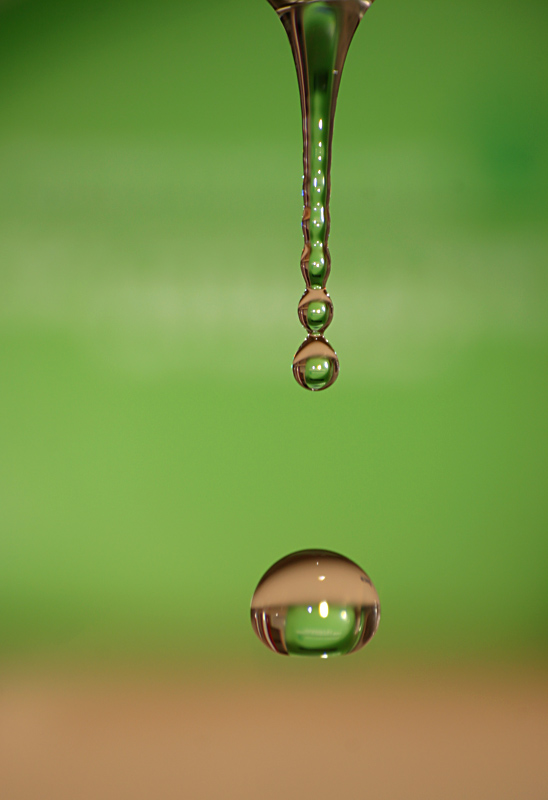 photo "Drop" tags: macro and close-up, 