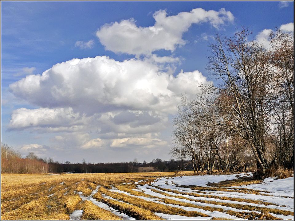 photo "Sping crossroads" tags: landscape, spring