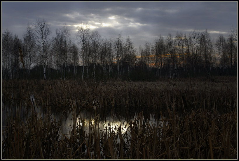 photo "Sun, fallen into the water" tags: landscape, spring