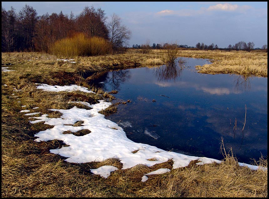 photo "Spring" tags: landscape, spring