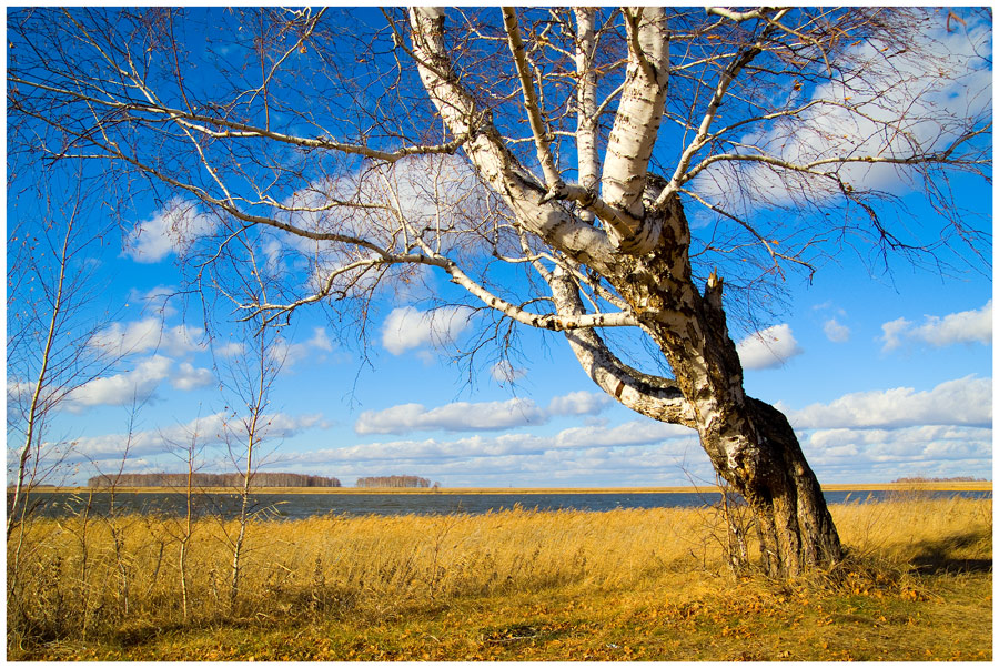 photo "***" tags: landscape, autumn