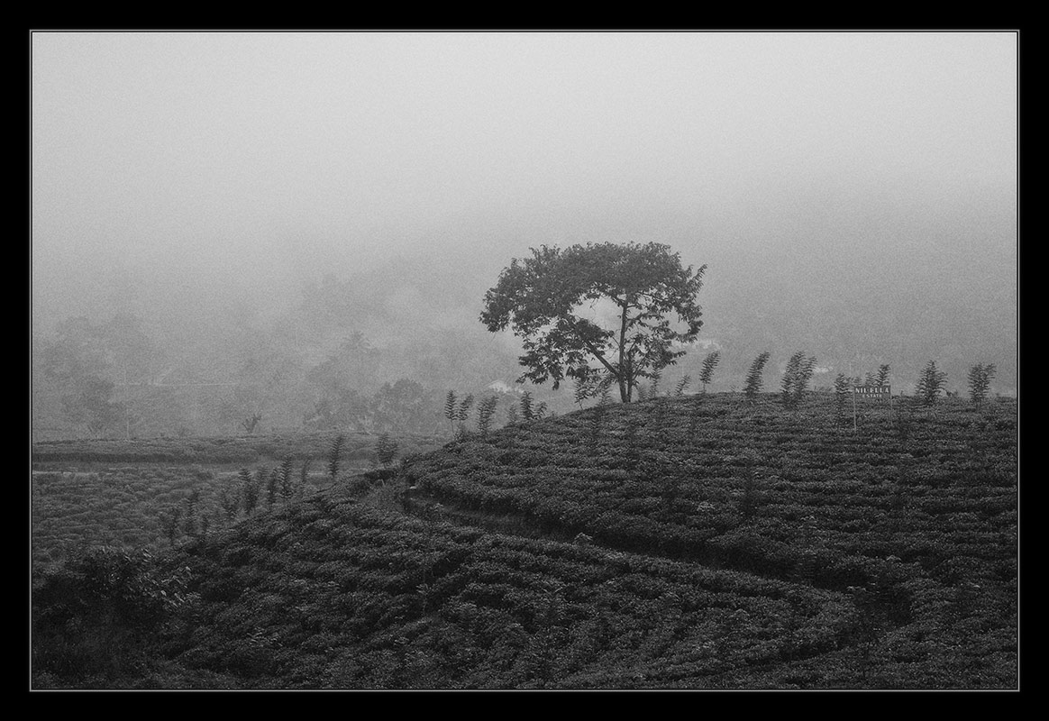 photo "***" tags: landscape, travel, Asia