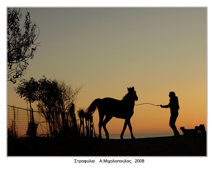 photo "***" tags: landscape, sunset