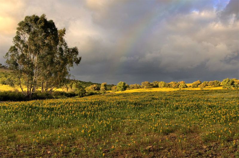 photo "A light in the storm" tags: landscape, spring