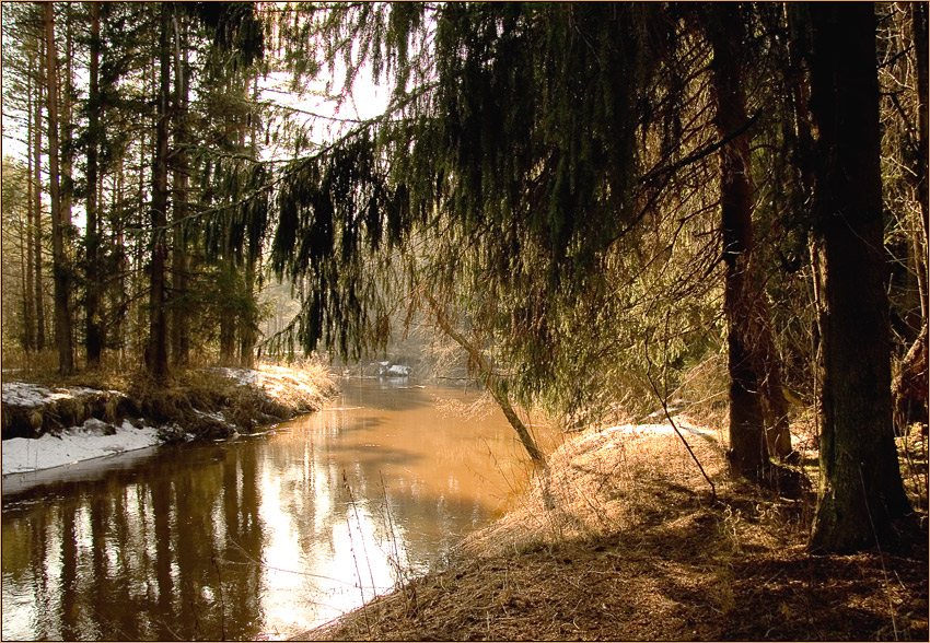 photo "***" tags: landscape, forest, spring