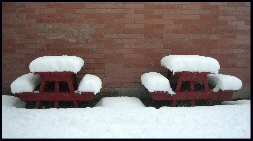 photo "contrast" tags: landscape, winter