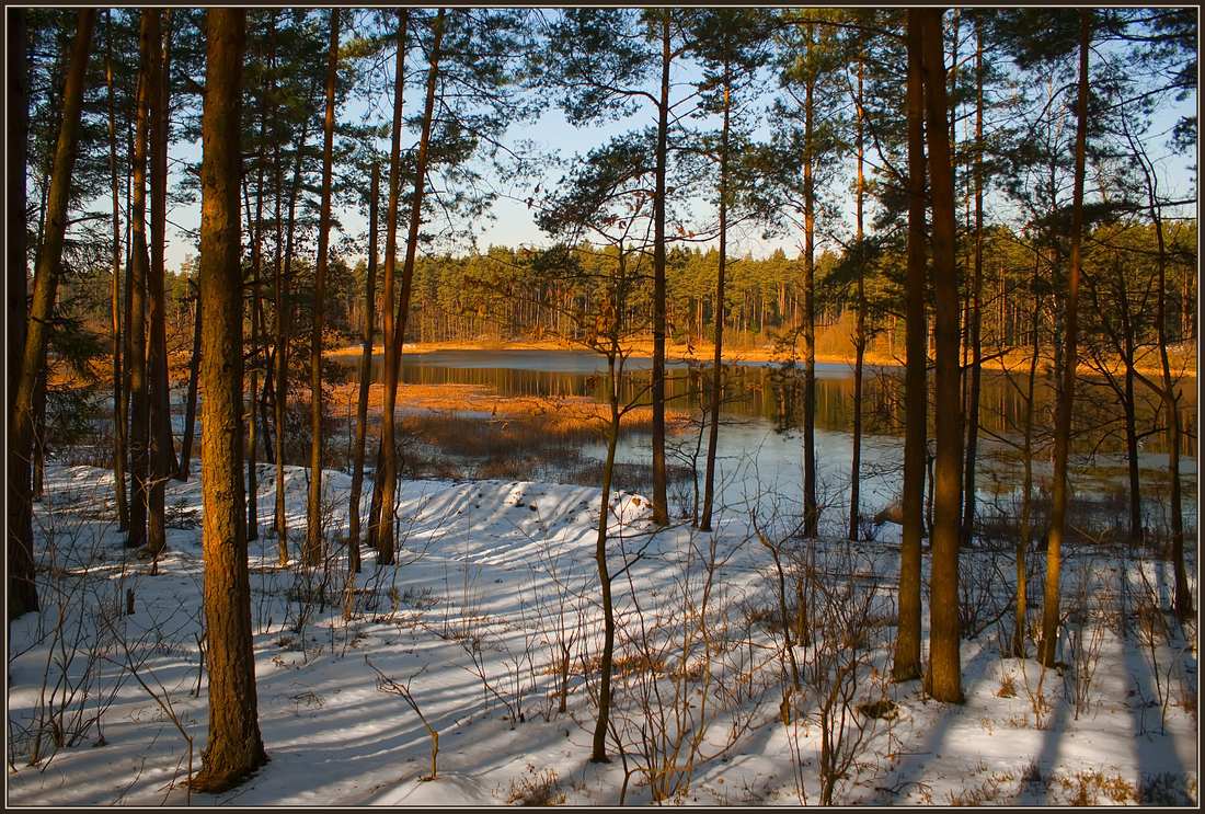 фото "Мажор весны" метки: пейзаж, весна