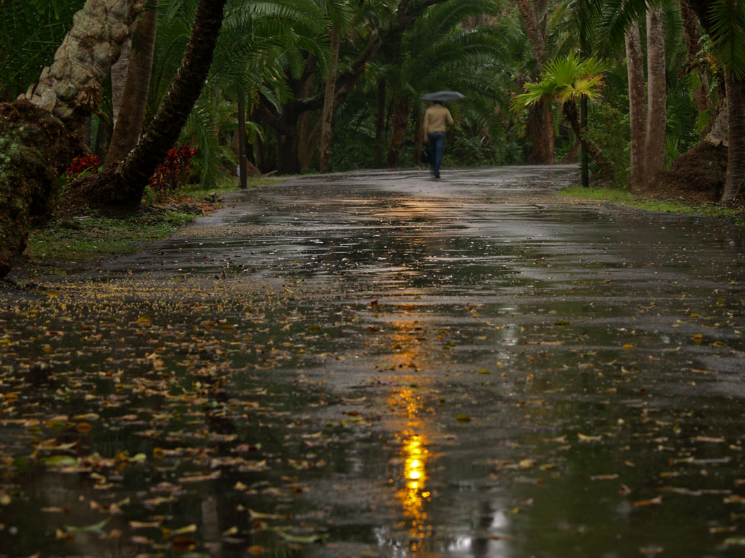 фото "Человек дождя" метки: разное, 