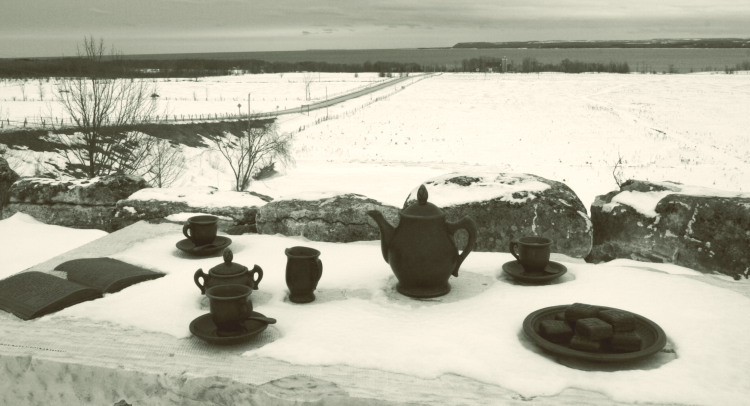 photo "Cold Lonely Tea Party" tags: still life, landscape, winter