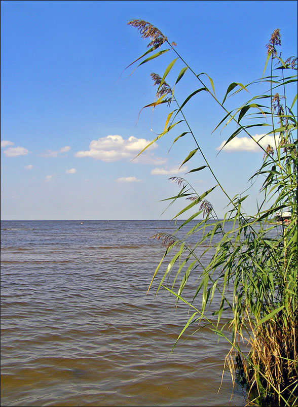 photo "Gulf of Finland." tags: landscape, water