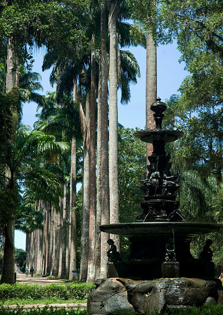 photo "Jardin Botanico" tags: architecture, travel, landscape, South America