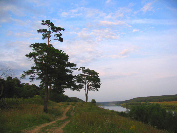 photo "***" tags: landscape, summer