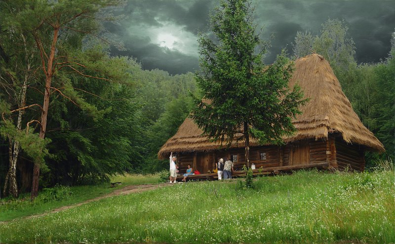 photo "***" tags: landscape, forest, summer
