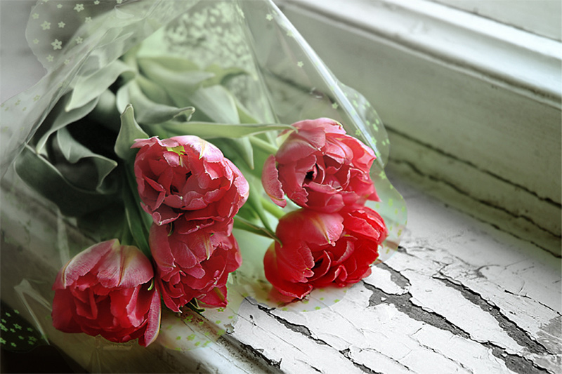 photo "***" tags: still life, 
