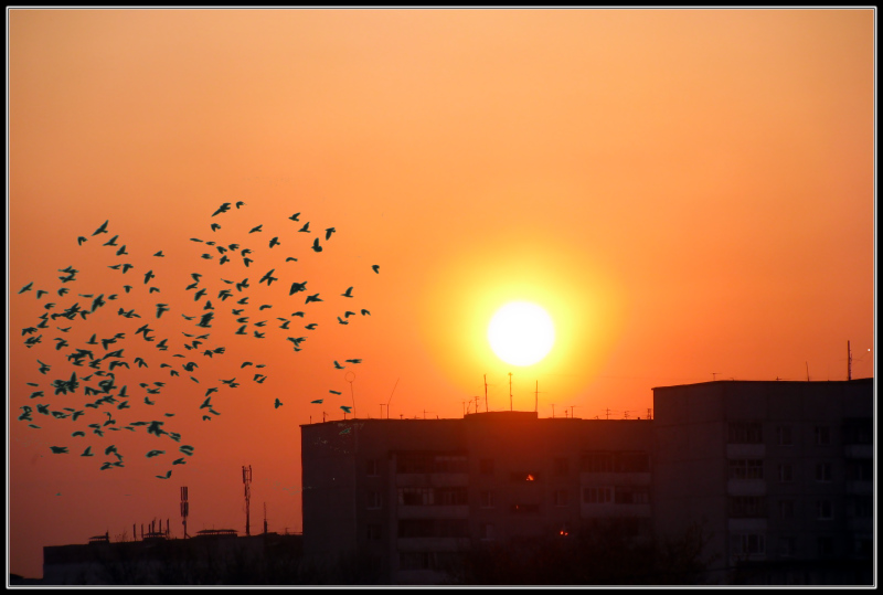 photo "***" tags: landscape, sunset