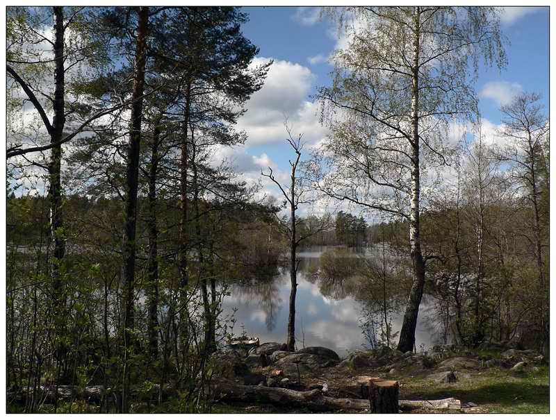 фото "на стоянке" метки: пейзаж, вода, лес