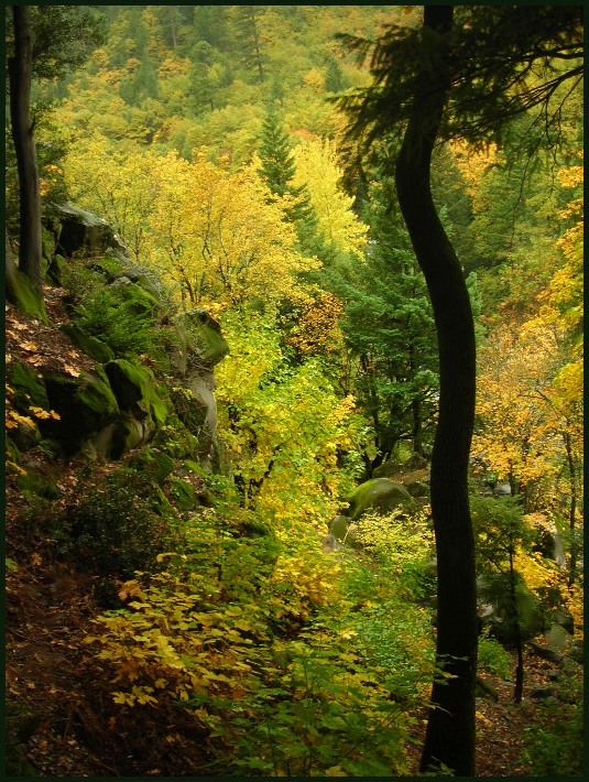 photo "***" tags: landscape, autumn