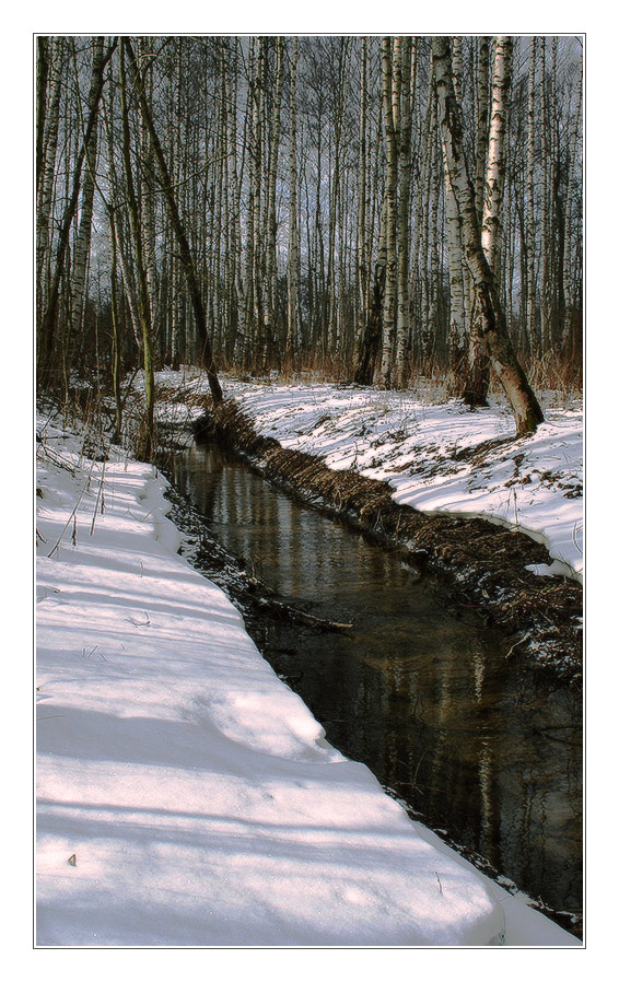 photo "***" tags: landscape, spring