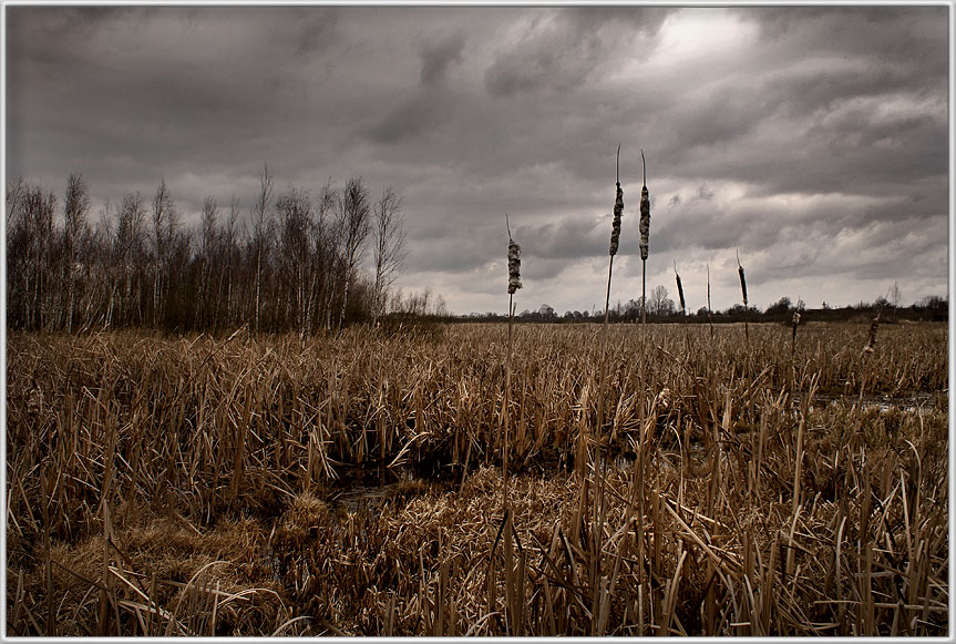 photo "Cloudy day" tags: landscape, spring