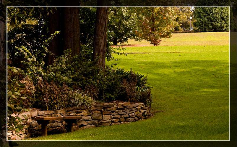 photo "A shady nook in the garden" tags: landscape, forest