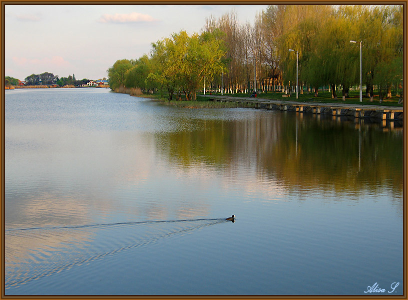 photo "***" tags: landscape, evening, spring, water