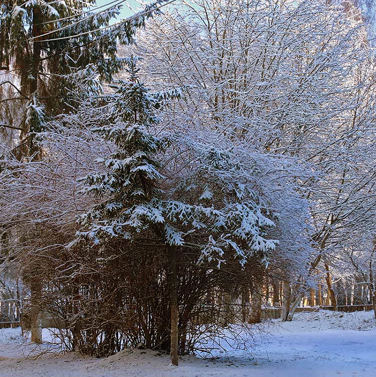 photo "***" tags: landscape, winter