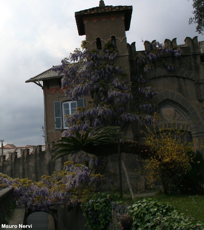 photo "in the park" tags: architecture, landscape, 