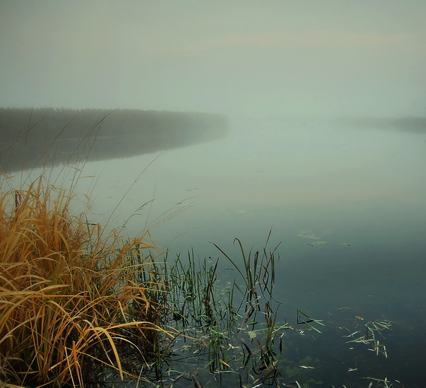 фото "***" метки: пейзаж, 