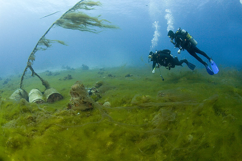 photo "Spring Blooming" tags: underwater, landscape, 