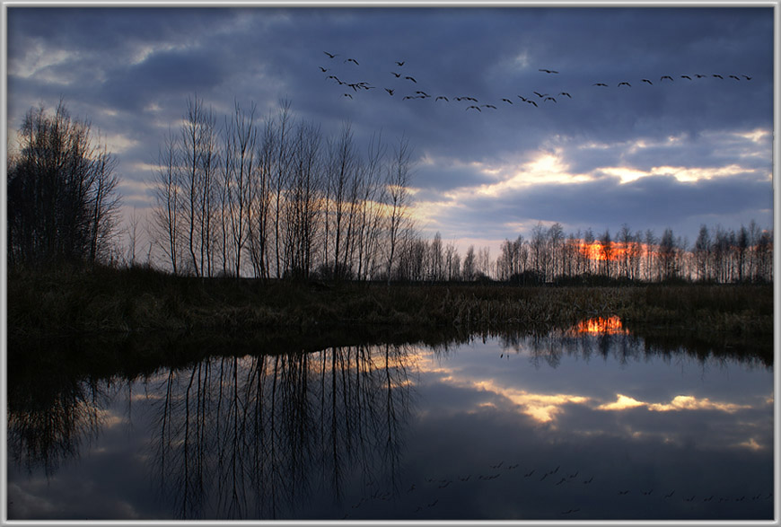 photo "Evening flight" tags: landscape, spring