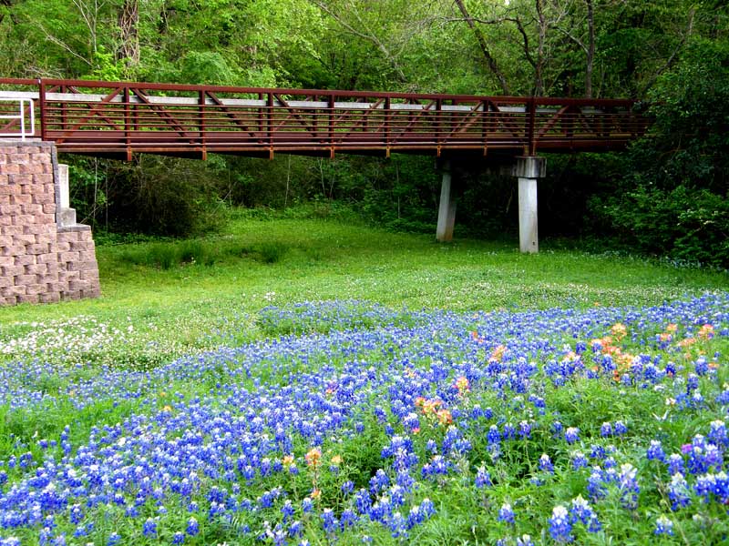 фото "Мост в Техасе" метки: пейзаж, путешествия, Северная Америка, весна
