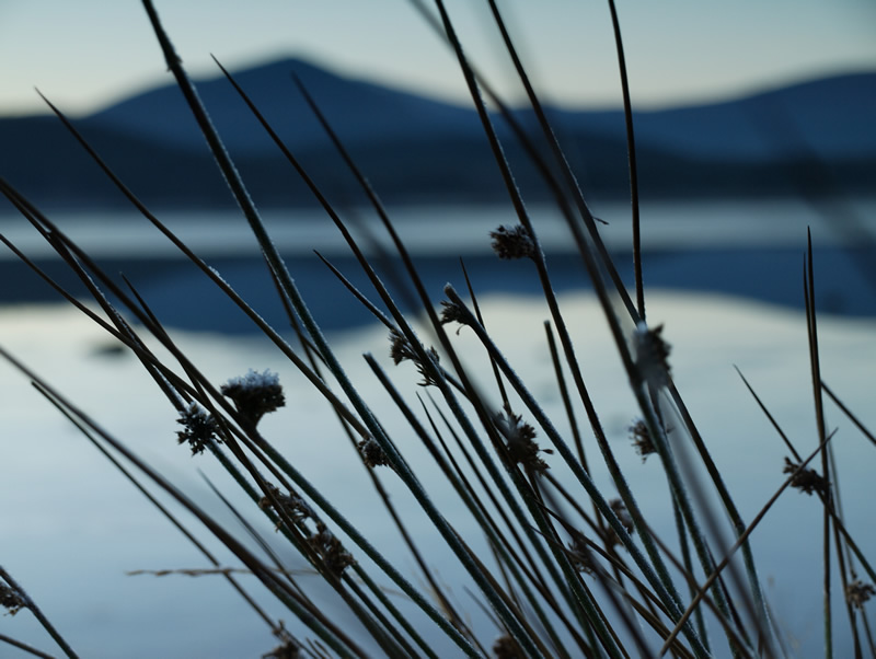 фото "Loch Morlich, Scottish Highlands" метки: пейзаж, вода, горы