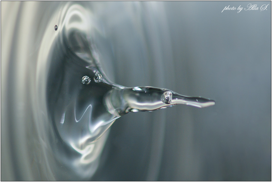 photo "***" tags: macro and close-up, 